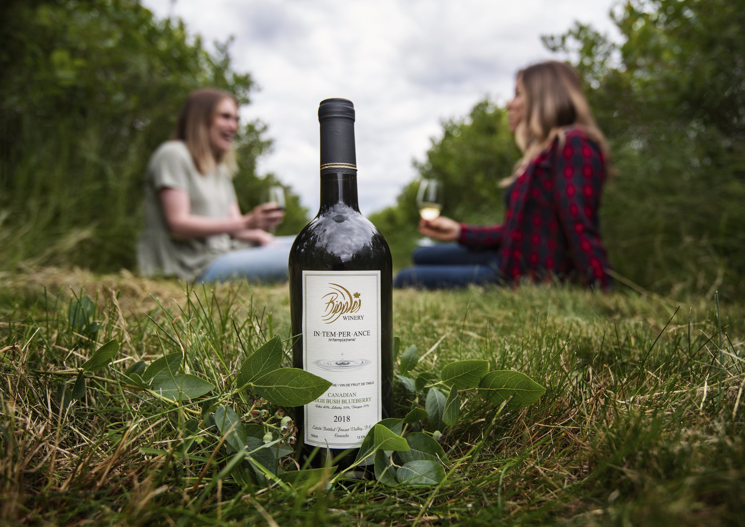A bottle of wine on the ground in a grassy area with two women sitting in the background holding glasses of white wine, outdoors surrounded by trees.