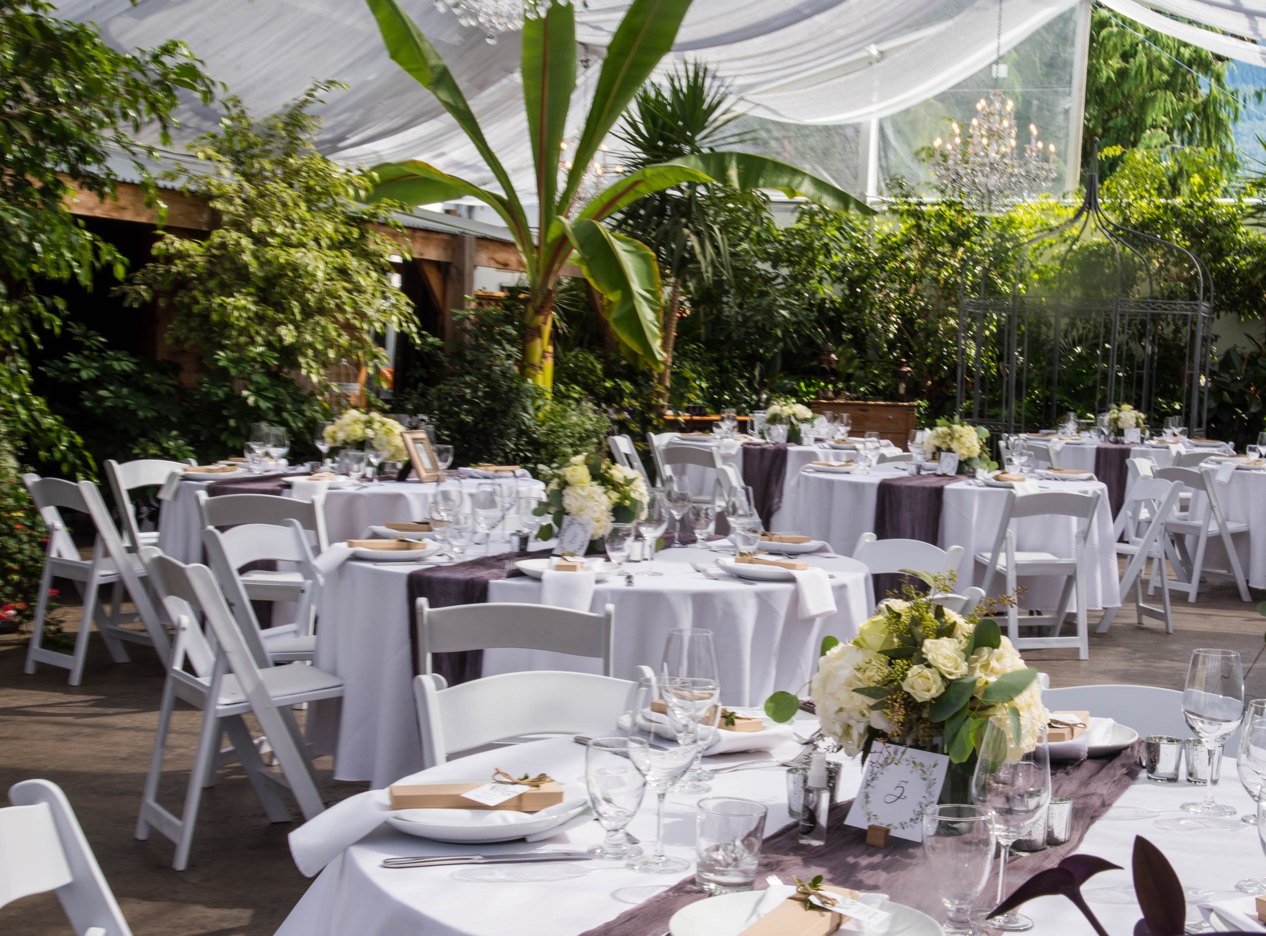 Wedding reception setup in a greenhouse with round tables, white chairs, floral centerpieces, tableware, and natural greenery.