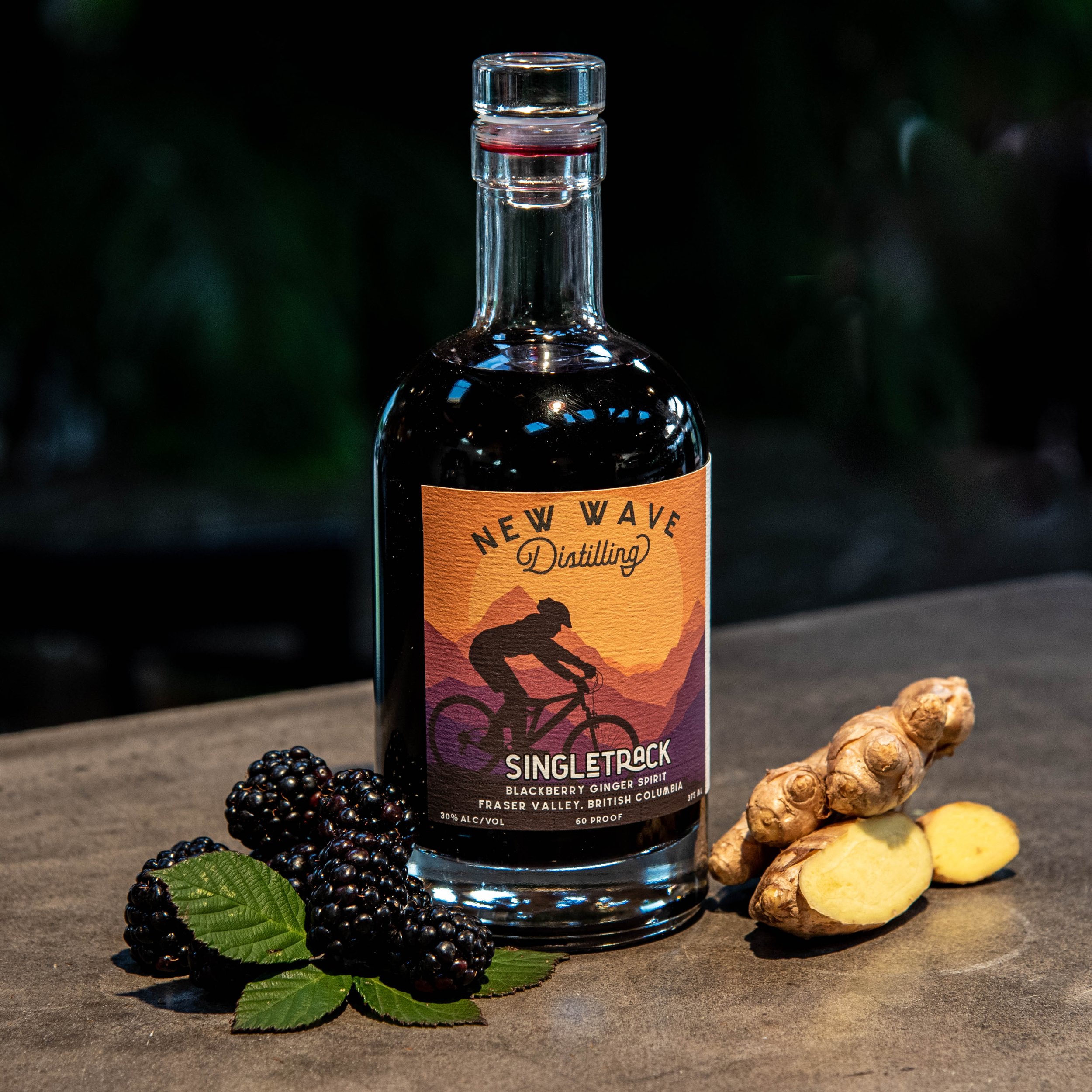 A bottle of New Wave Distilling SingleTrack Blackberry Ginger Spirit with fresh blackberries, ginger root, and ginger slices arranged around it on a dark surface.